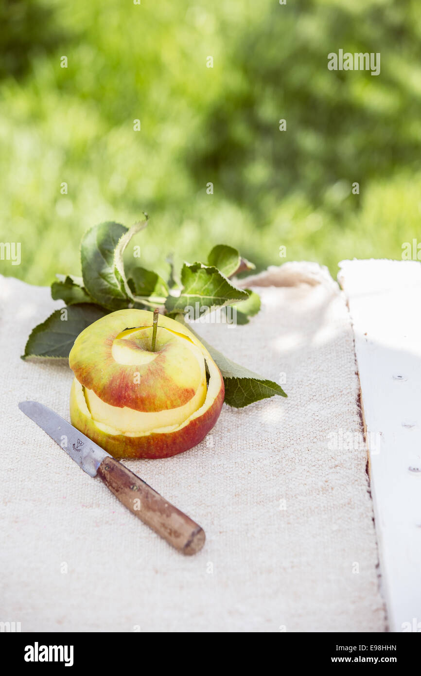 Sbucciate fresco e salutare apple con un coltello seghettato e foglie su un panno bianco su un di legno verniciato tavolo rustico all'aperto in un lussureggiante giardino estivo Foto Stock