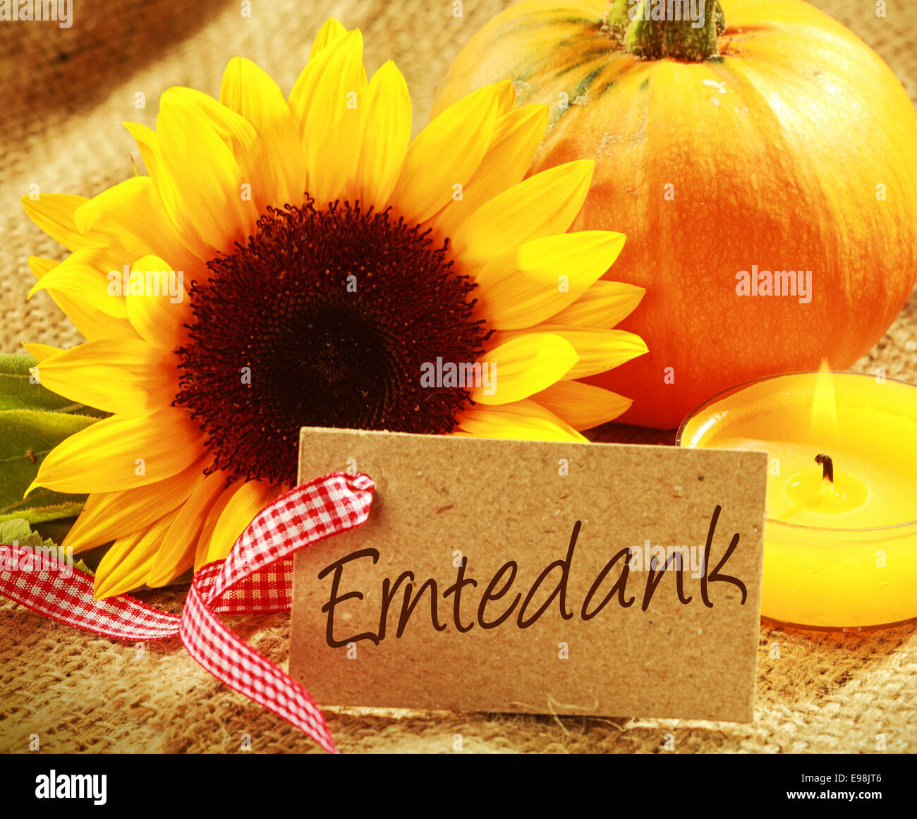 Colorato sfondo di ringraziamento con un regalo tag con la parola tedesca - Erntedank - con un vivace giallo arancione girasole di zucca e candela che brucia raggruppati su rustiche hessian Foto Stock