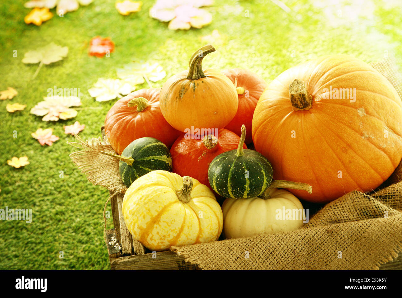 Varietà di zucche e zucche in casse di legno con foglie di autunno in background Foto Stock