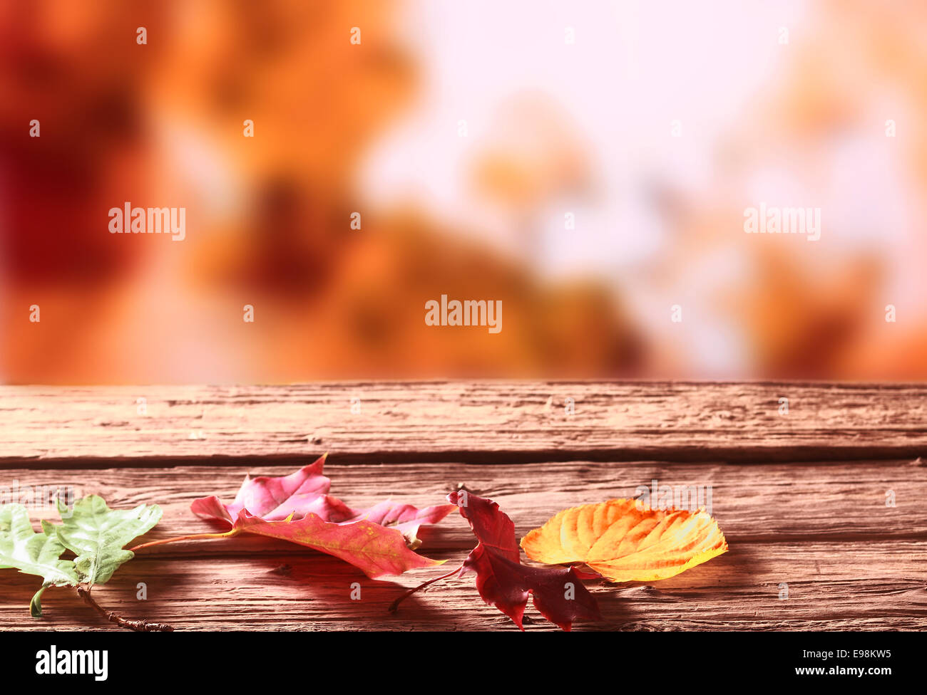 Sbiadito tre colori d'autunno o foglie di autunno giacente su di un legno rustico tavolo da giardino contro uno sfondo sfocato di golden orange fogliame di autunno su alberi fornendo copyspace per il testo Foto Stock