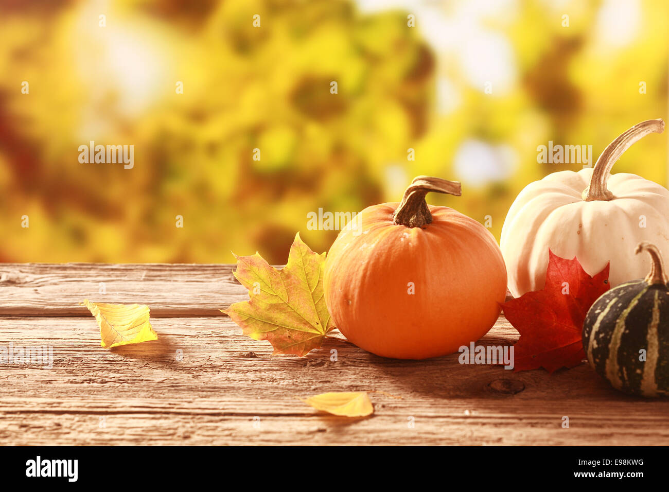 Fresco di zucca assortiti e squash in un giardino di autunno con colorati golden fogliame degli alberi in piedi su un vecchio tavolo in legno Foto Stock