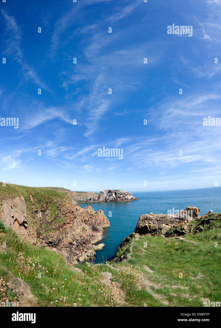 Guardando sulla baia di roccia di Dunbuy vicino Bullers di Buchan in Aberdeenshire Foto Stock