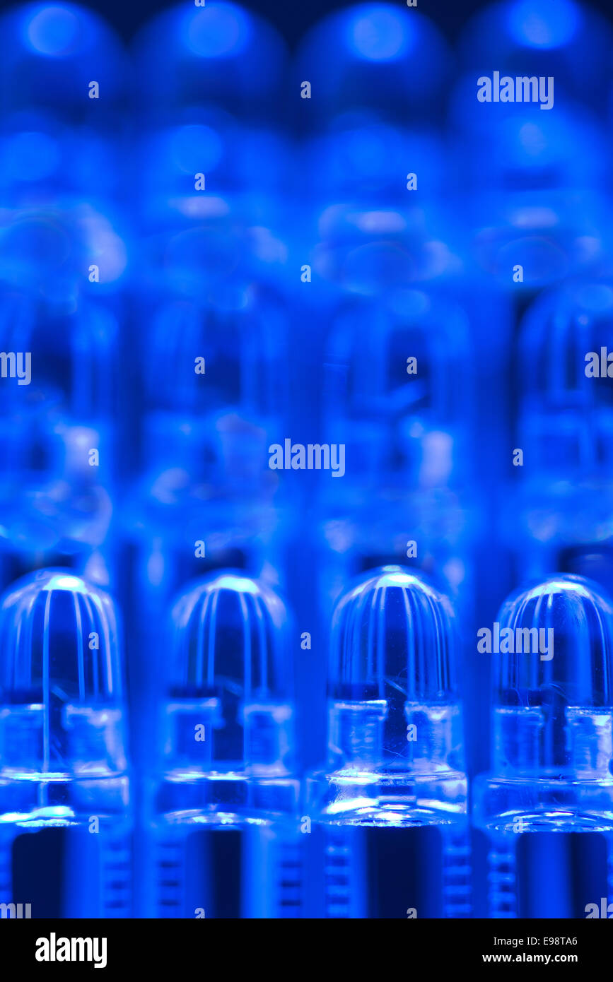 Close up della fila di led luce di diodi emettitori di luce come parte di un circuito di illuminazione con anodo e catodo Foto Stock