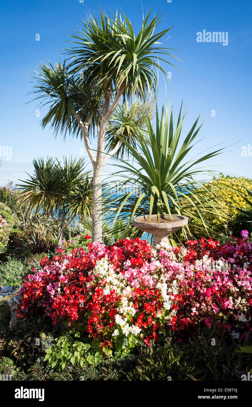 Palme e luminosa biancheria in un giardino in riva al mare in Tenby Dyfed Regno Unito Foto Stock