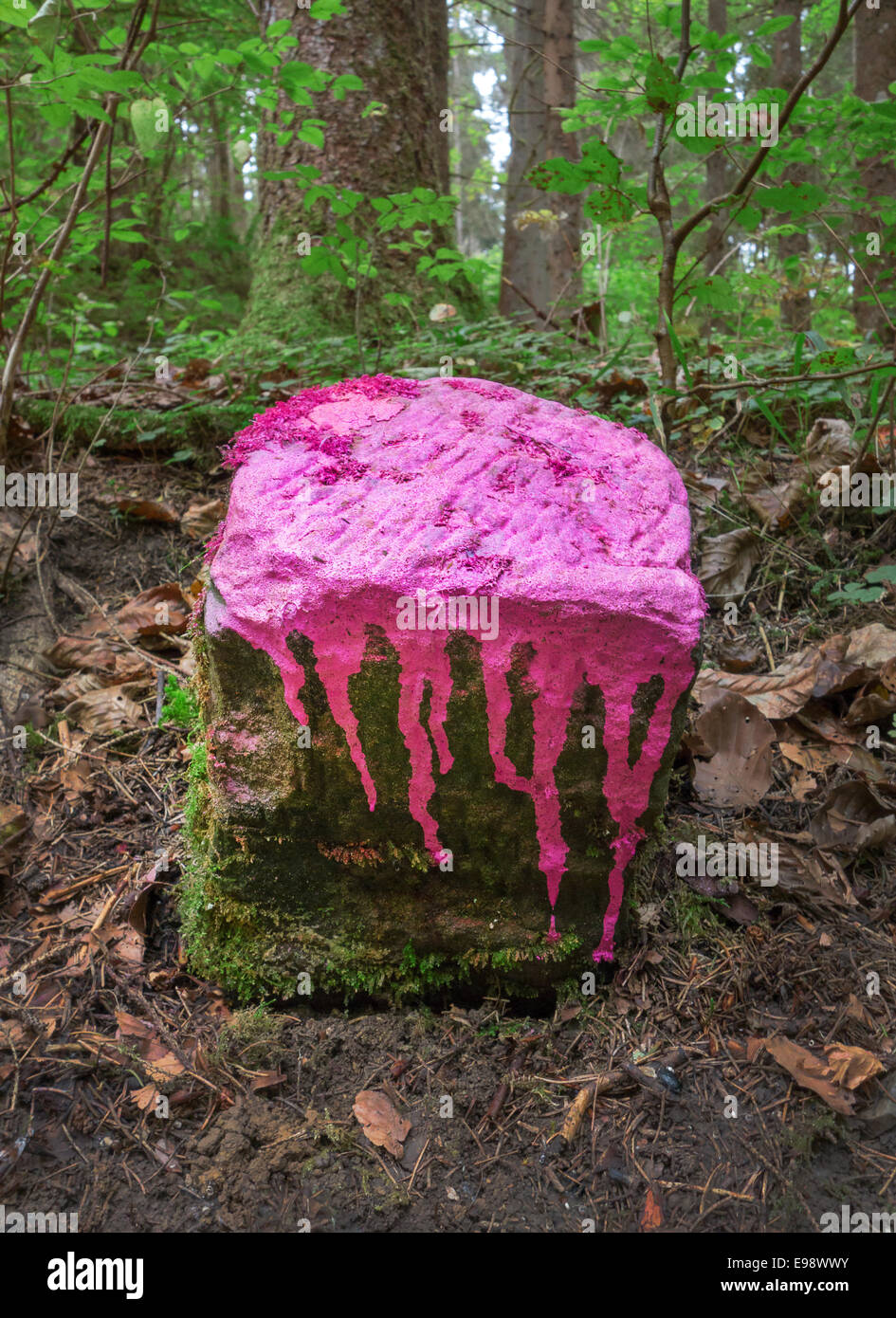 Contrassegnate la pietra di confine Foto Stock