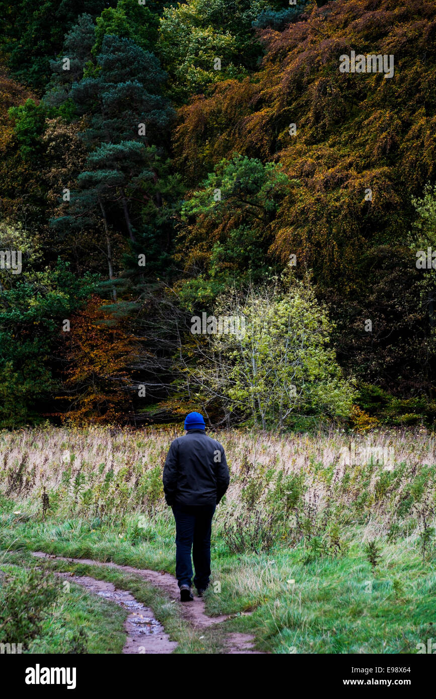 Un uomo prendendo in autunno di colori su una solitaria campagna a piedi. Foto Stock