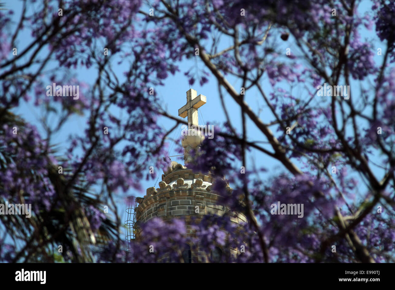 La parte superiore della chiesa carmelitana visto attraverso viola fiorisce a La Valletta, Malta Foto Stock