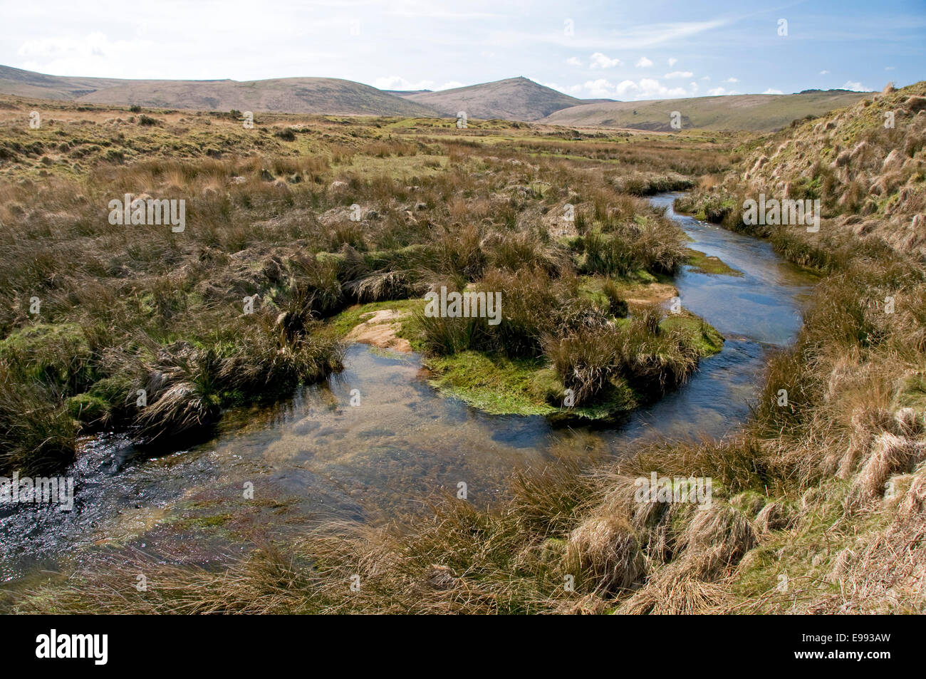 La parte superiore del fiume Taw a Dartmoor, tra Belstone Tor e Cosdon Hill, con Steeperton Tor in centro a distanza Foto Stock