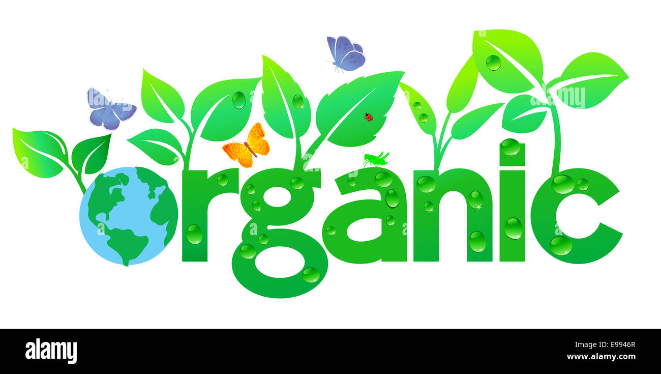 Organici di Leaf Green Globe Foto Stock