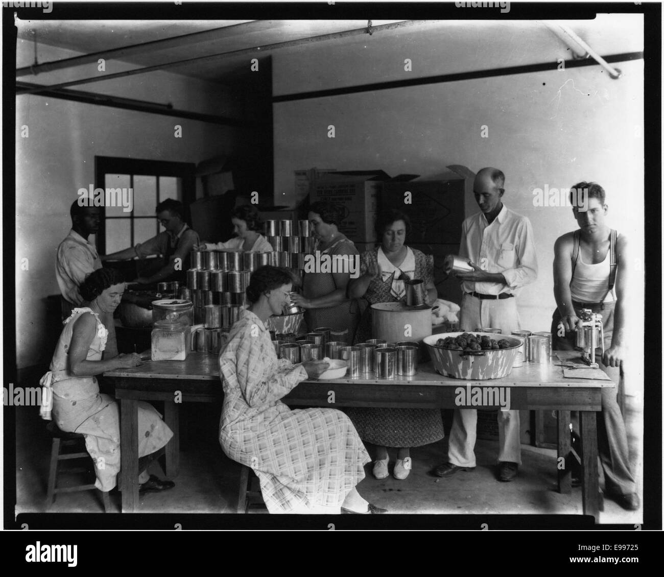 Una fotografia che mostra il processo di inscatolamento dei pomodori, catturando i lavoratori nell'atto di conservare i pomodori in lattine. L'immagine rappresenta il ruolo dell'industria agricola nella conservazione del cibo tra la prima e la metà del XX secolo. Foto Stock