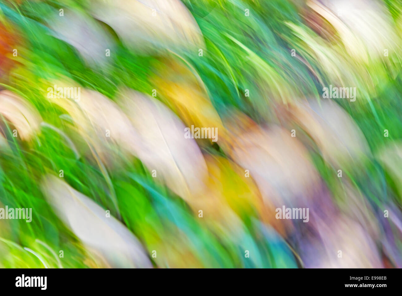 Il movimento sfocato sfondo astratto, pastello colori autunnali. Foto Stock
