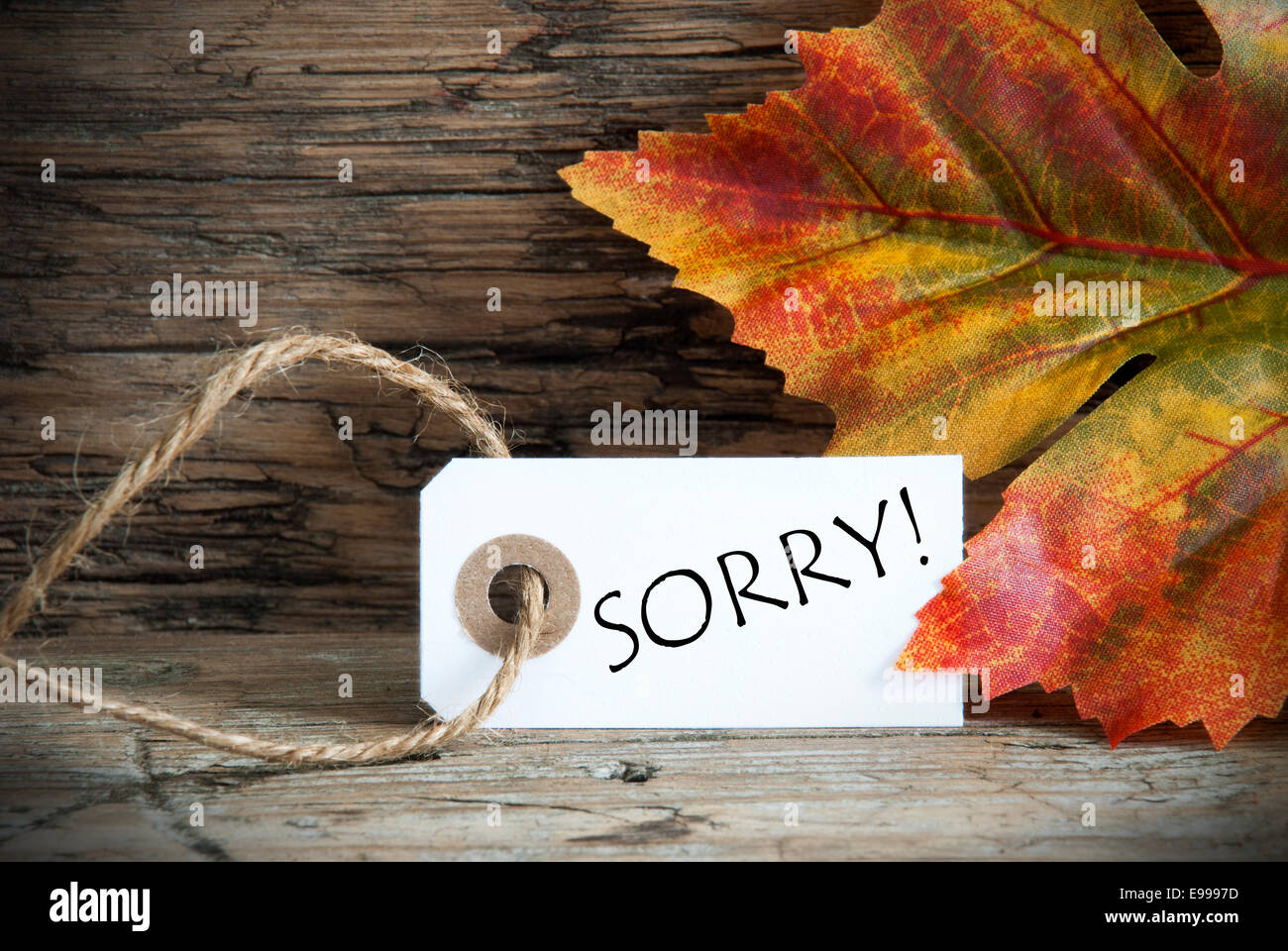 Autunno sfondo con etichetta Spiacenti su sfondo di legno Foto Stock
