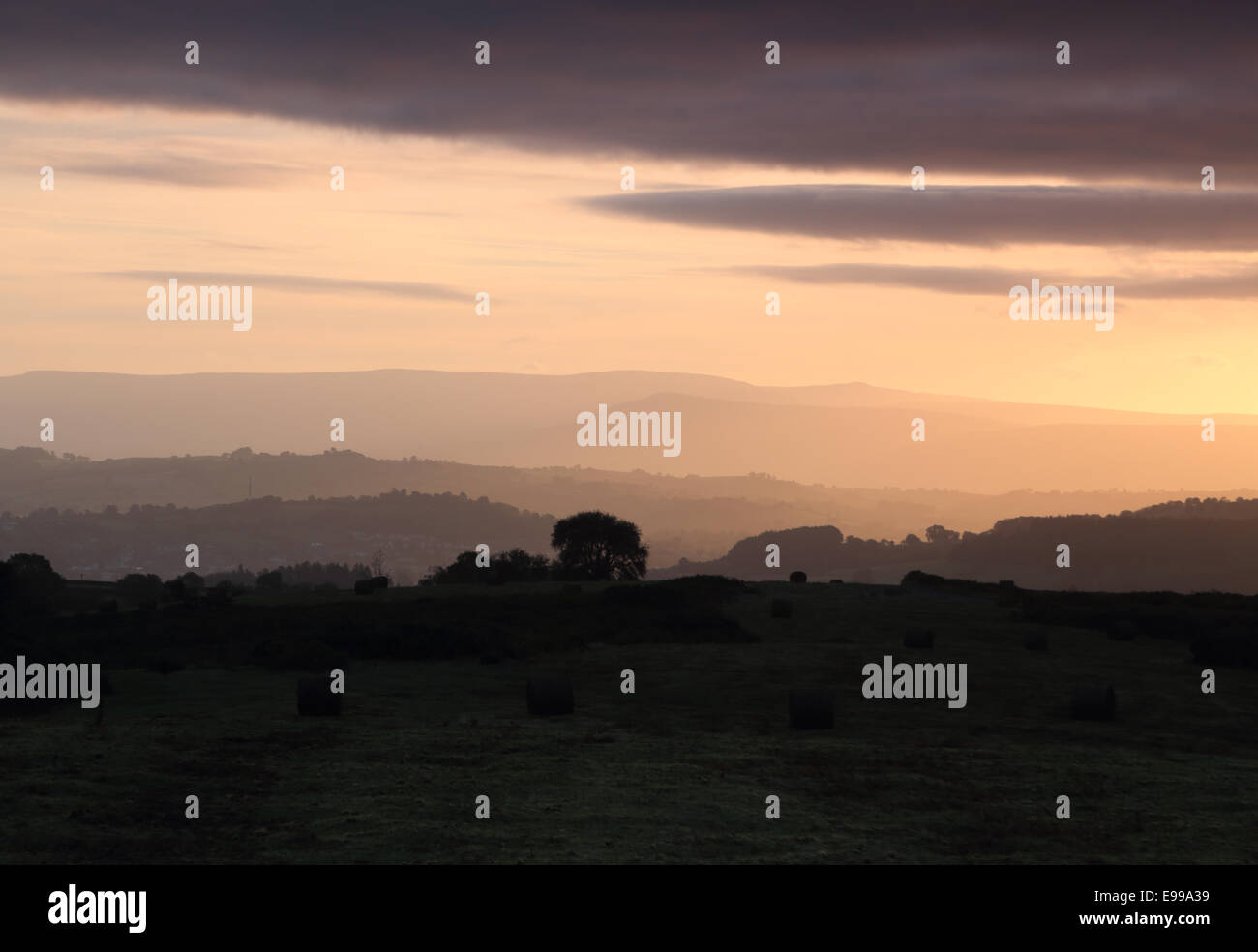 Golden dawn luce sulla campagna Gallese Foto Stock