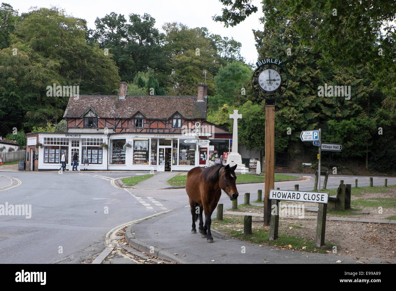 New Forest pony a Burley, camminando lungo il borgo la strada principale (Ringwood rd) Foto Stock