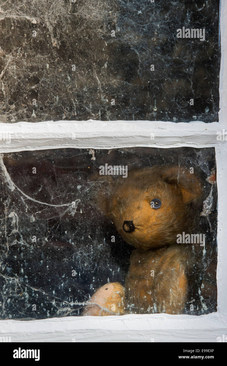 Threadbare uno Eyed orsacchiotto guardando un vecchio capannone finestra coperto di ragnatele Foto Stock