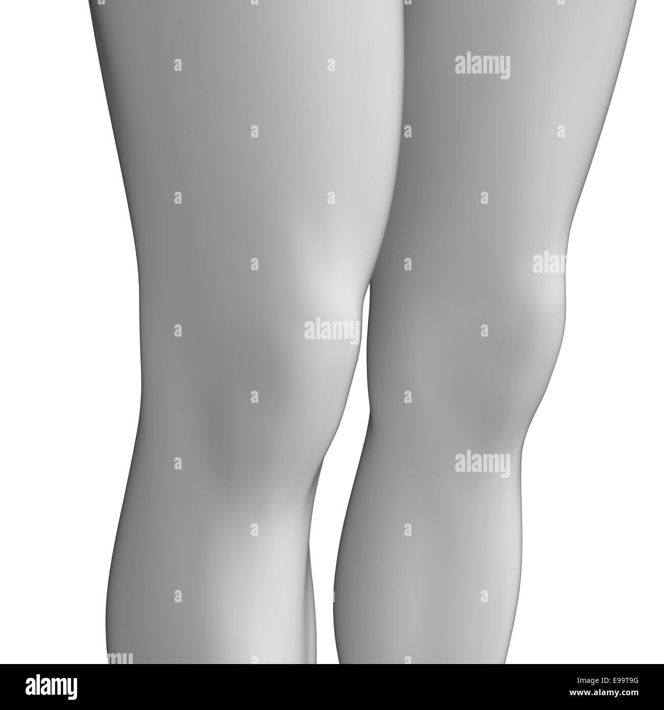 Illustrazione di anatomia del ginocchio artwork Foto Stock