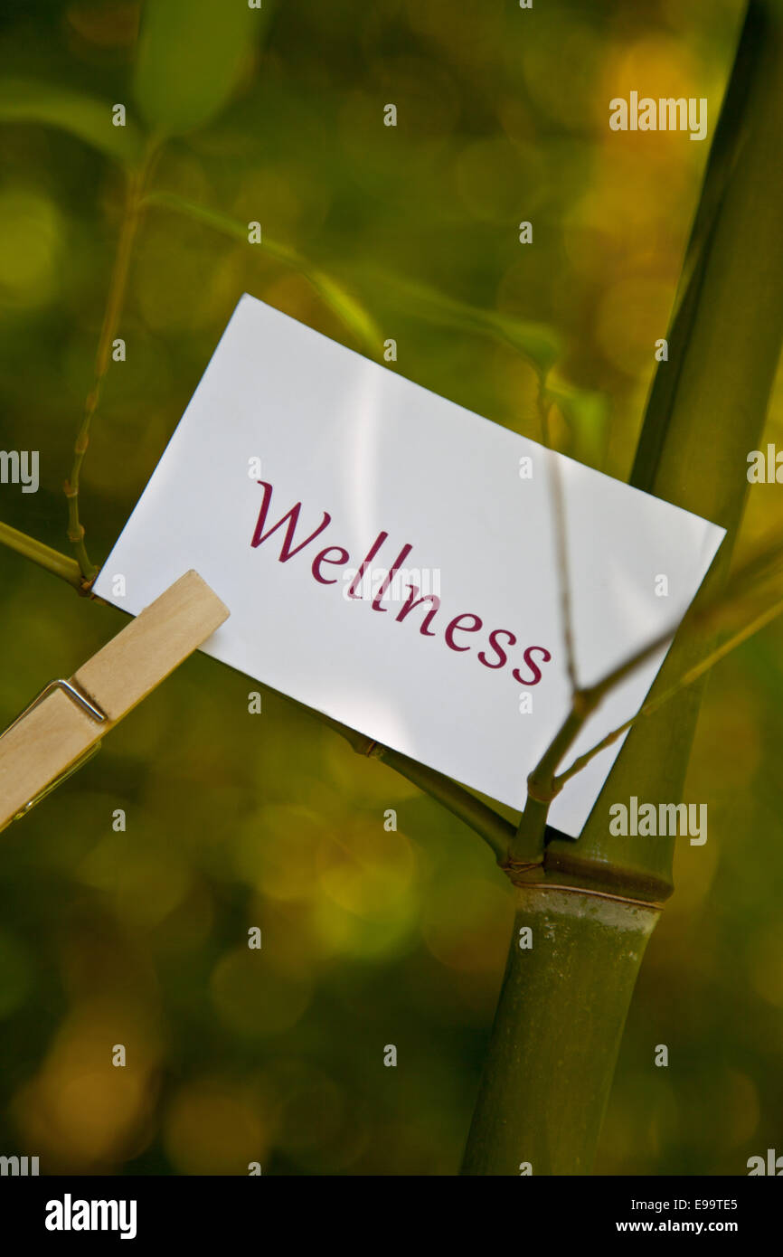 La parola Wellness su carta in natura Foto Stock