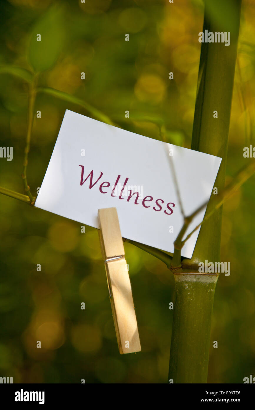 La parola Wellness su carta in natura Foto Stock