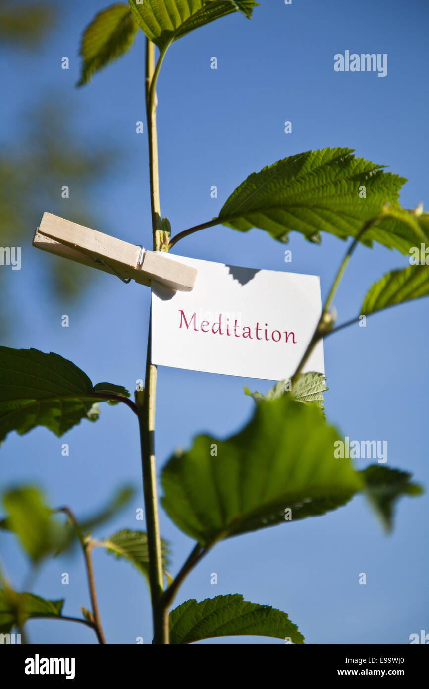 La parola meditazione sulla carta in natura Foto Stock