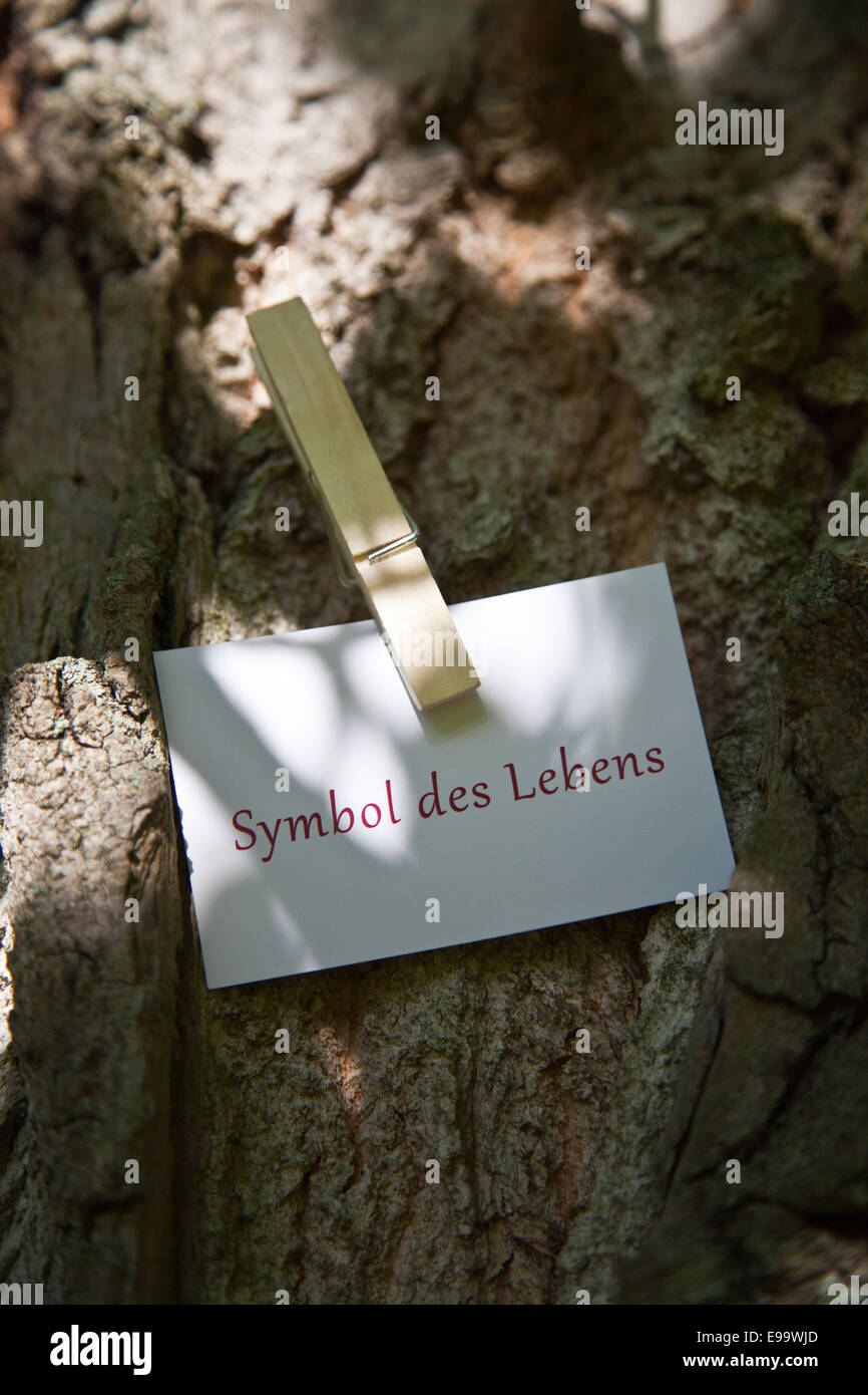Simbolo des Lebens su carta in natura Foto Stock