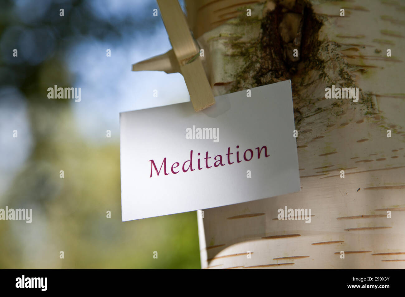 La parola meditazione sulla carta in natura Foto Stock