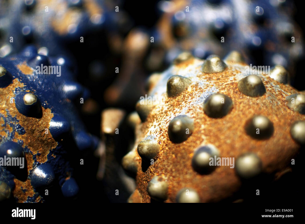 Testa di foratura Foto Stock