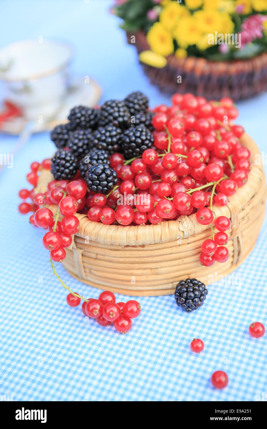 Una piastra con lamponi e ribes Foto Stock