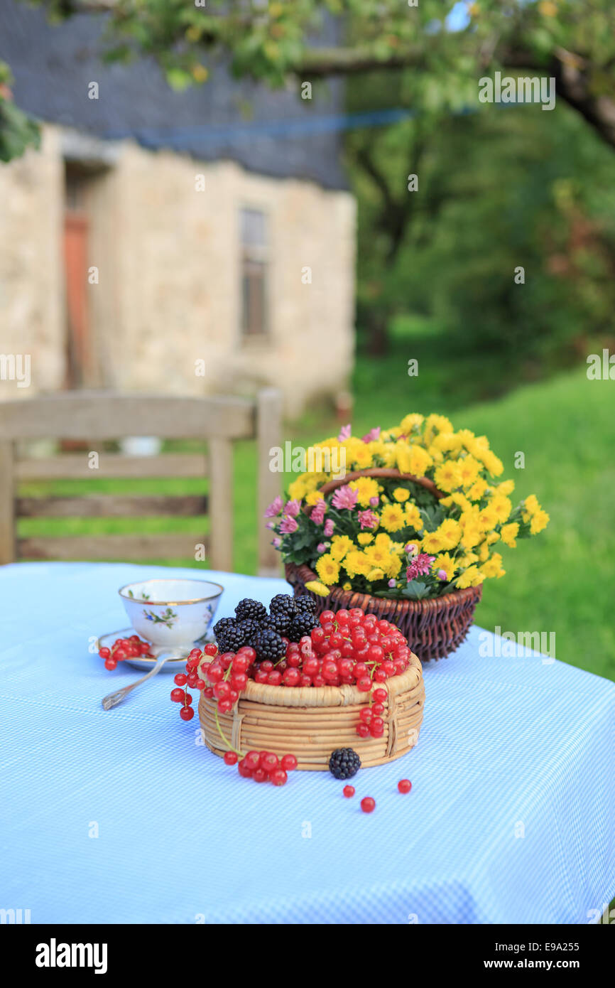 Una piastra con lamponi e ribes Foto Stock