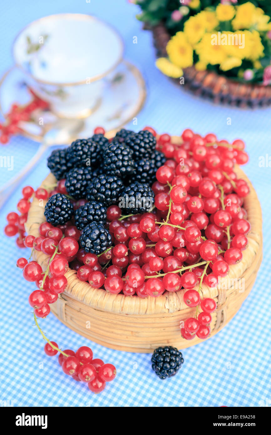 Una piastra con lamponi e ribes Foto Stock