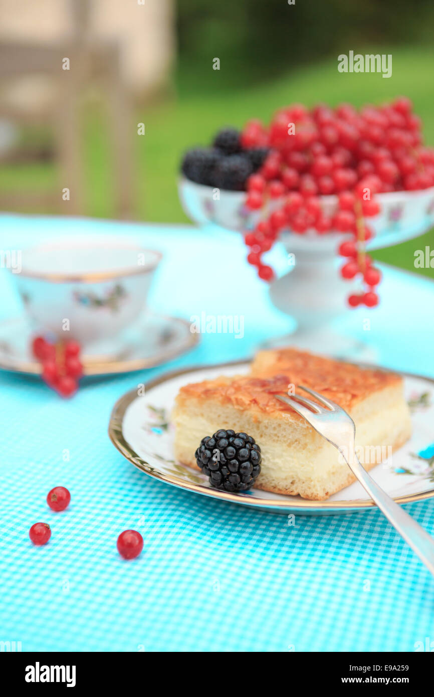La piastra con la Torta al miele e frutti di bosco su un tavolo Foto Stock