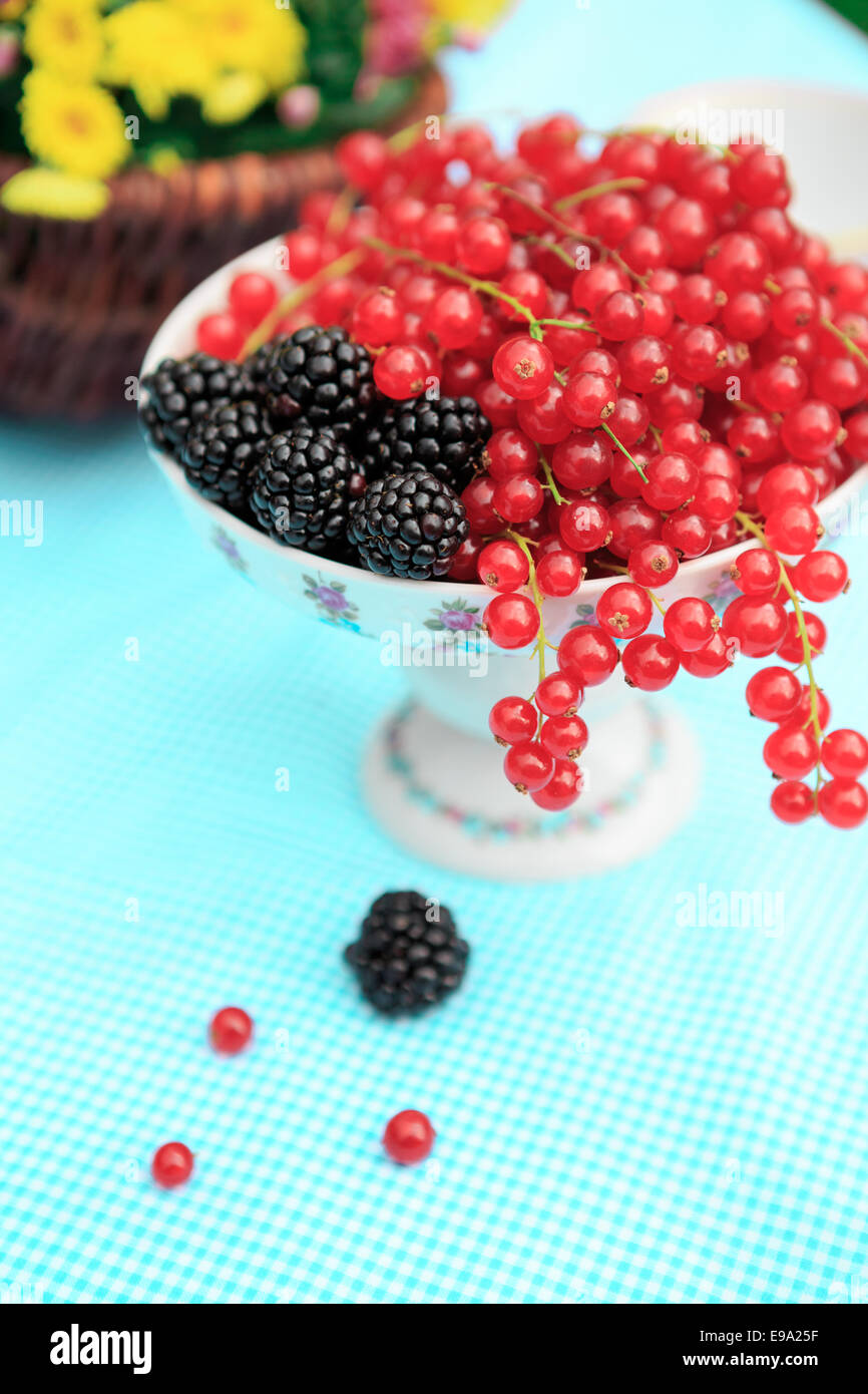 Una piastra con lamponi e ribes Foto Stock