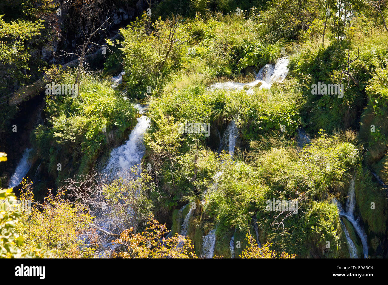Acqua che scorre sulla caduta dei laghi di Plitvice Foto Stock