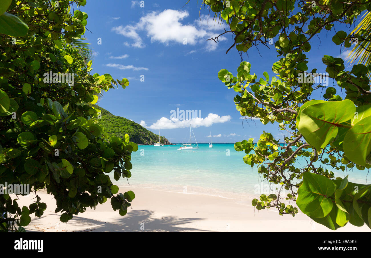 Gloriosa spiaggia di Anse Marcel in St Martin Foto Stock