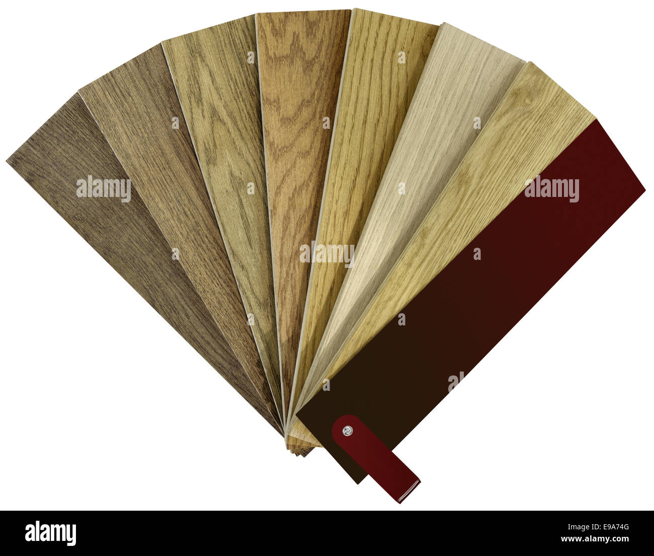 Colore di legno duro Swatch intaglio Foto Stock