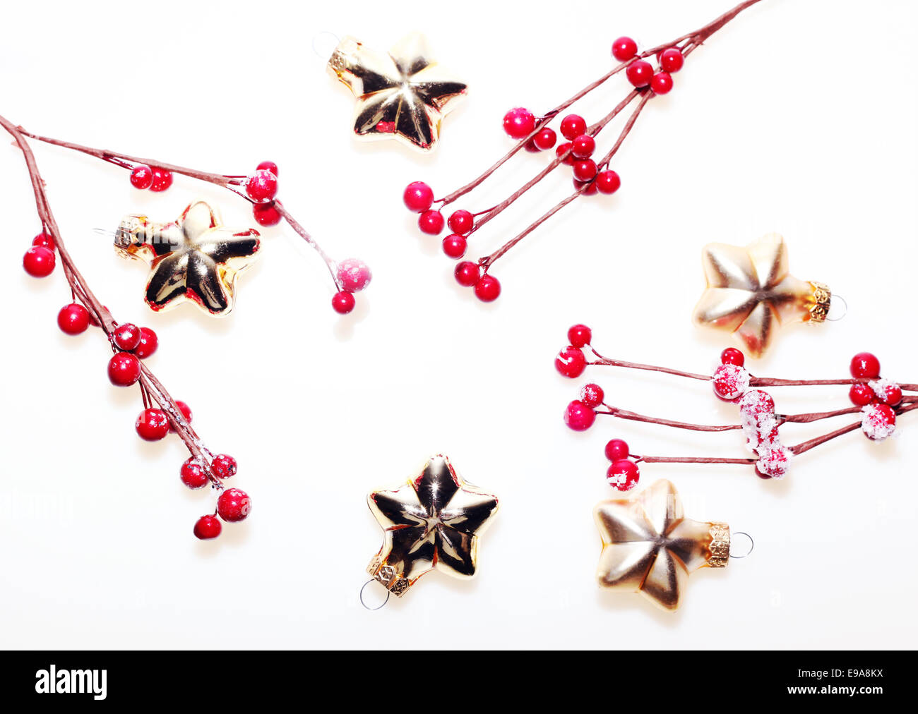 Red beery con natale golden stars Foto Stock