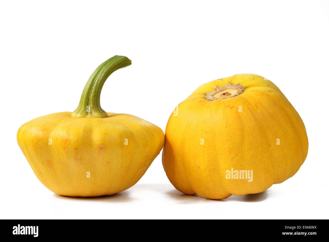 Giallo patty pan squash Foto Stock