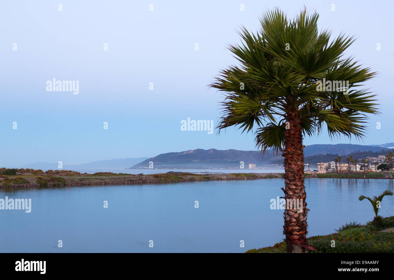 Sunrise a Ventura in California con palm Foto Stock