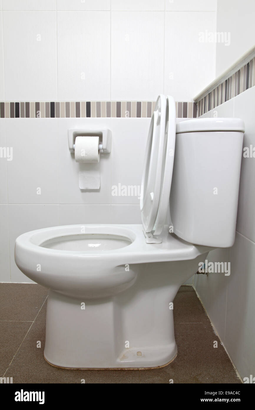 Sedile di gabinetto e il tessuto Foto Stock