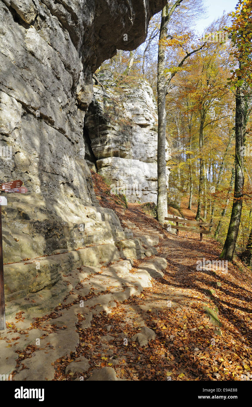 Mullerthal valley, sentiero escursionistico area, Lussemburgo Foto Stock