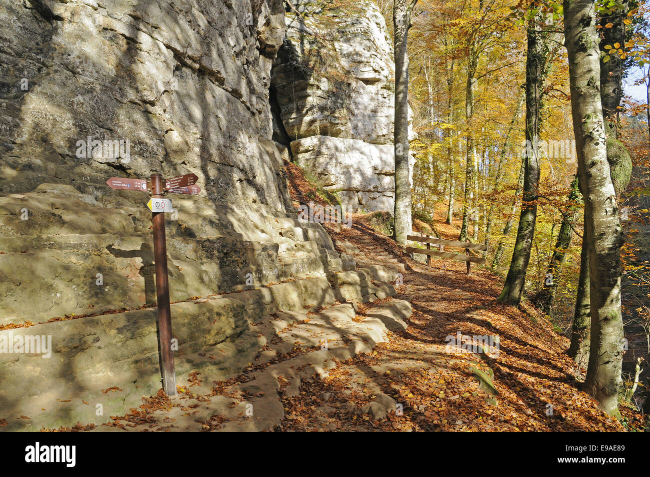 Mullerthal valley, sentiero escursionistico area, Lussemburgo Foto Stock