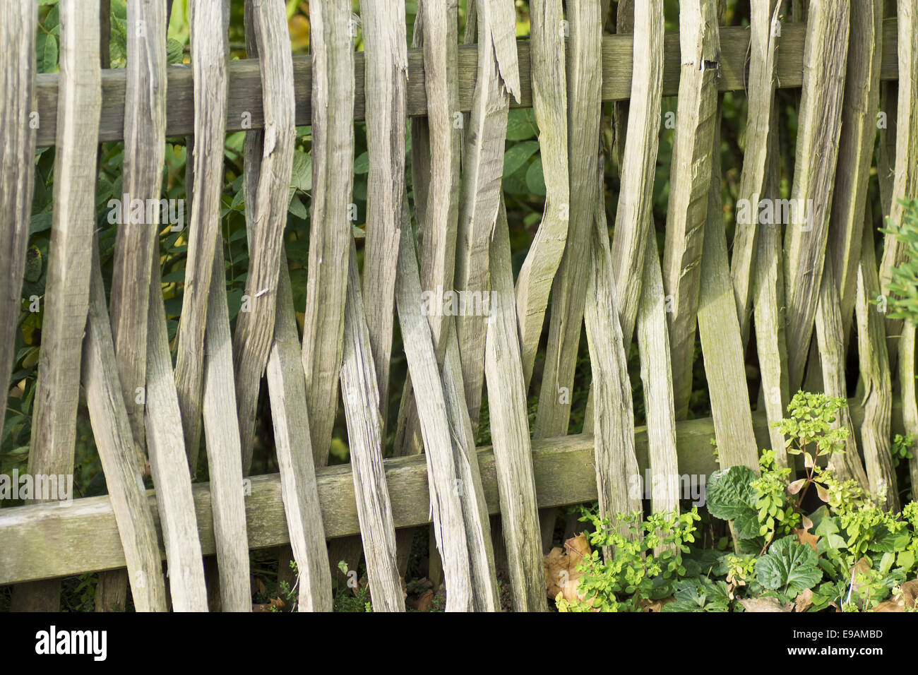 Braides recinzione per fila di lampadine Foto Stock