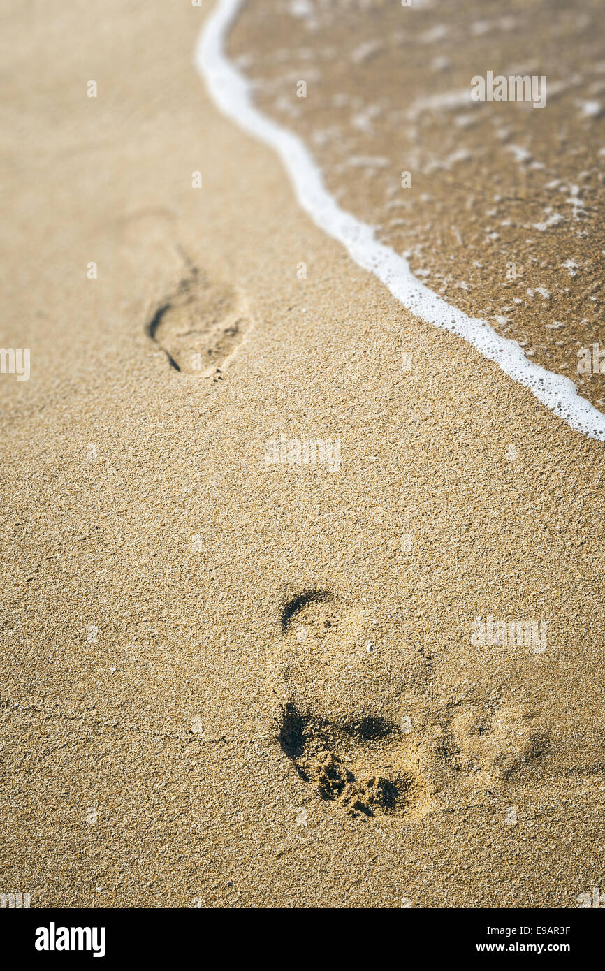 Ingombro con la sabbia Foto Stock