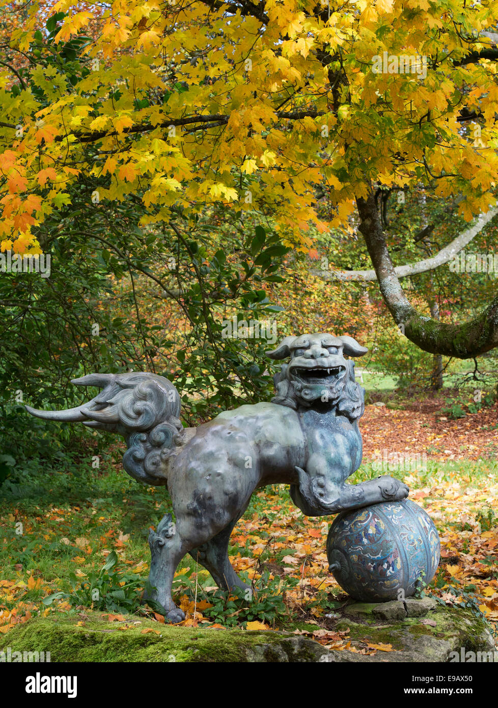 Cinese cane pippo statua in bronzo a Batsford Arboretum in autunno. Moreton-in-Marsh, Gloucestershire, Inghilterra Foto Stock