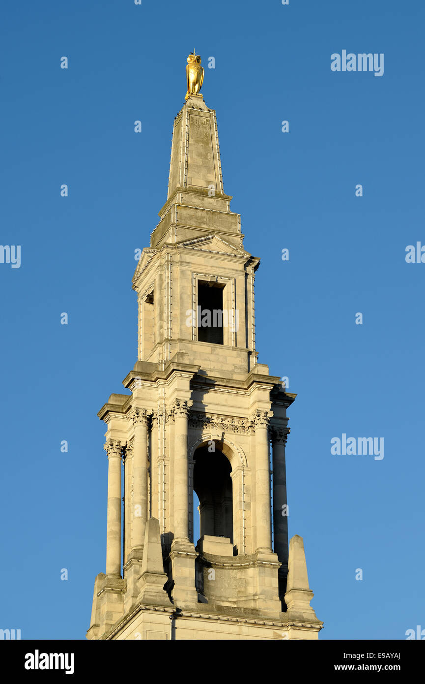 Gufo reale, simbolo di Leeds, sulla torre della sala civica, Leeds, West Yorkshire, Inghilterra, Regno Unito Foto Stock