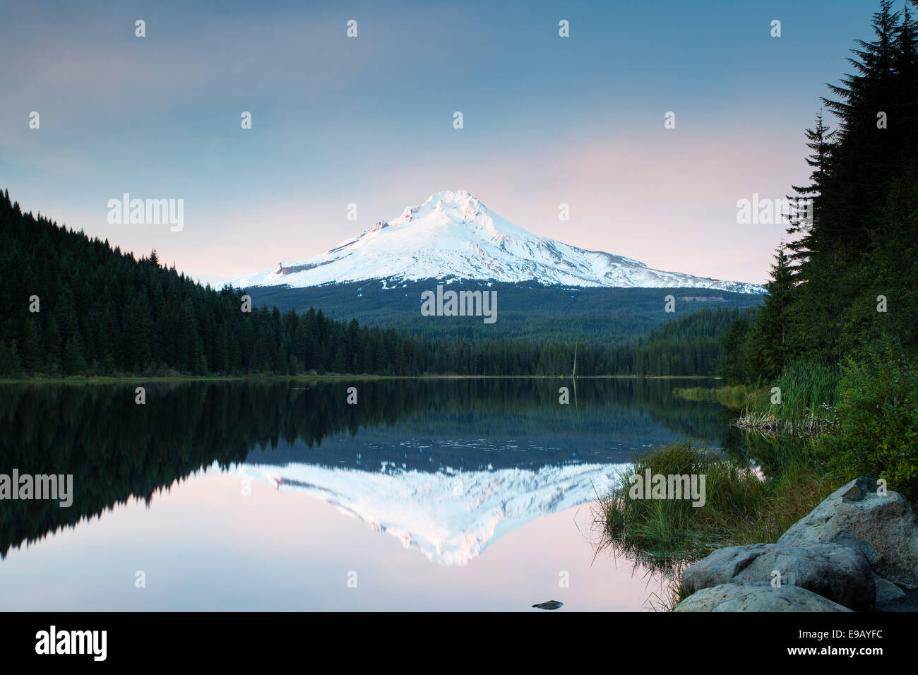 Trillium Lago con il Monte Cofano, governo Camp, Oregon, Stati Uniti Foto Stock