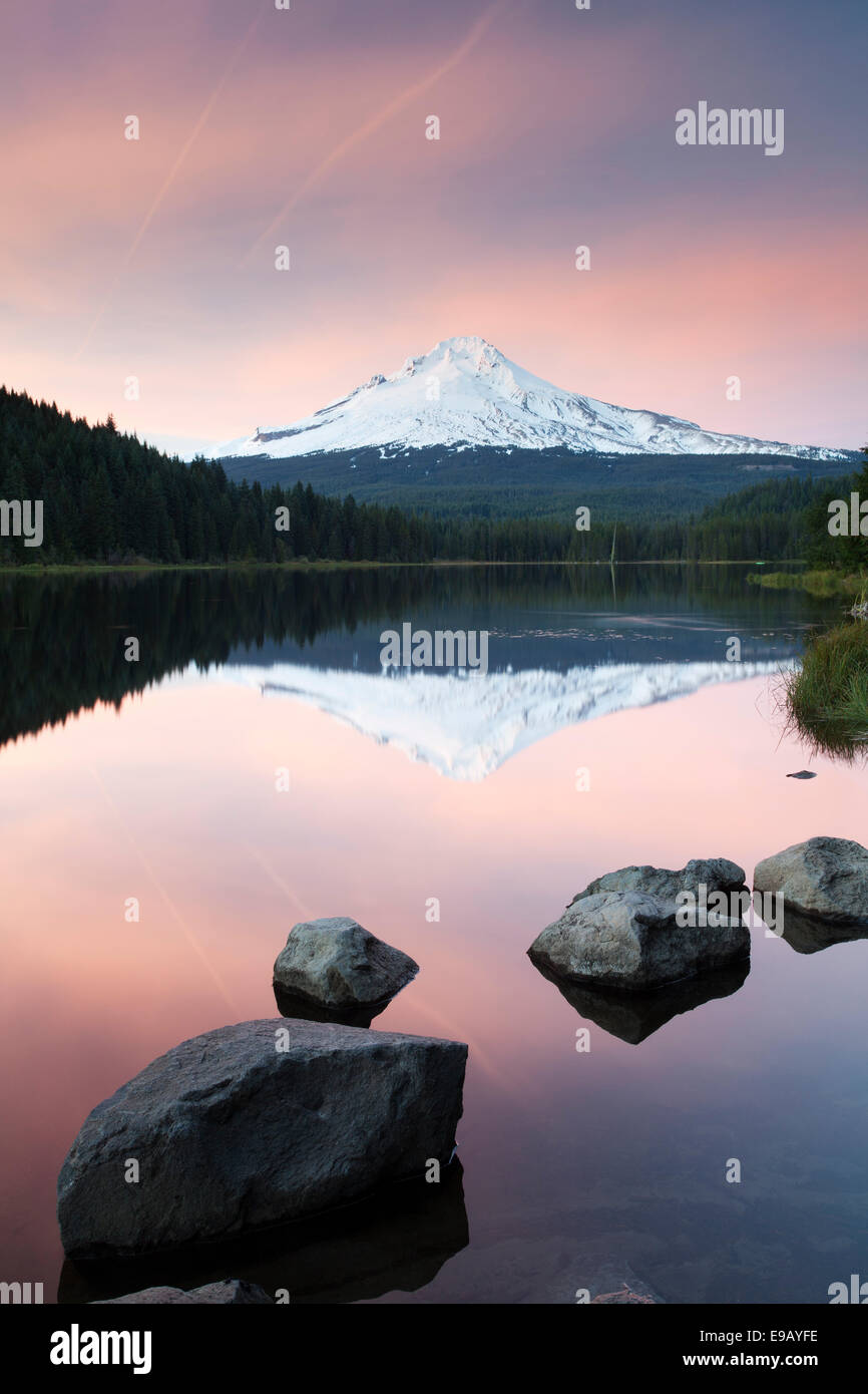 Trillium Lago con il Monte Cofano, governo Camp, Oregon, Stati Uniti Foto Stock