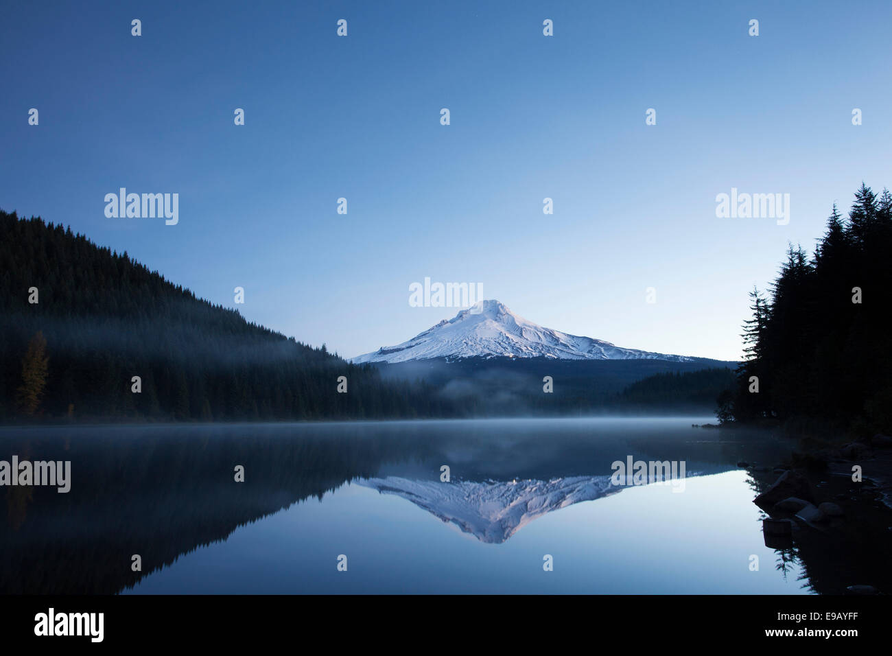 Trillium Lago con il Monte Cofano, governo Camp, Oregon, Stati Uniti Foto Stock