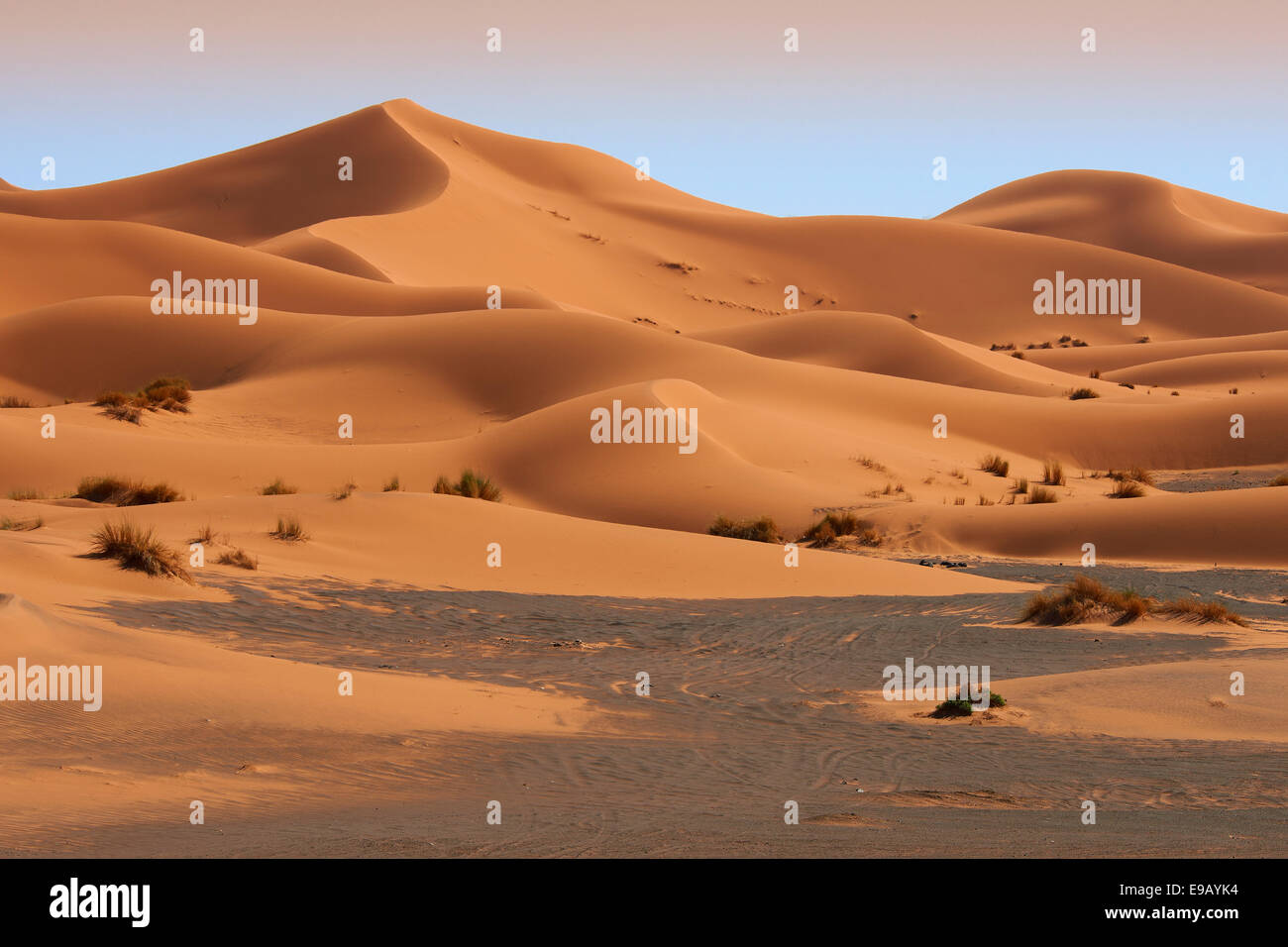Le dune di sabbia, Erg Chebbi, Merzouga, deserto del Sahara, Marocco Foto Stock