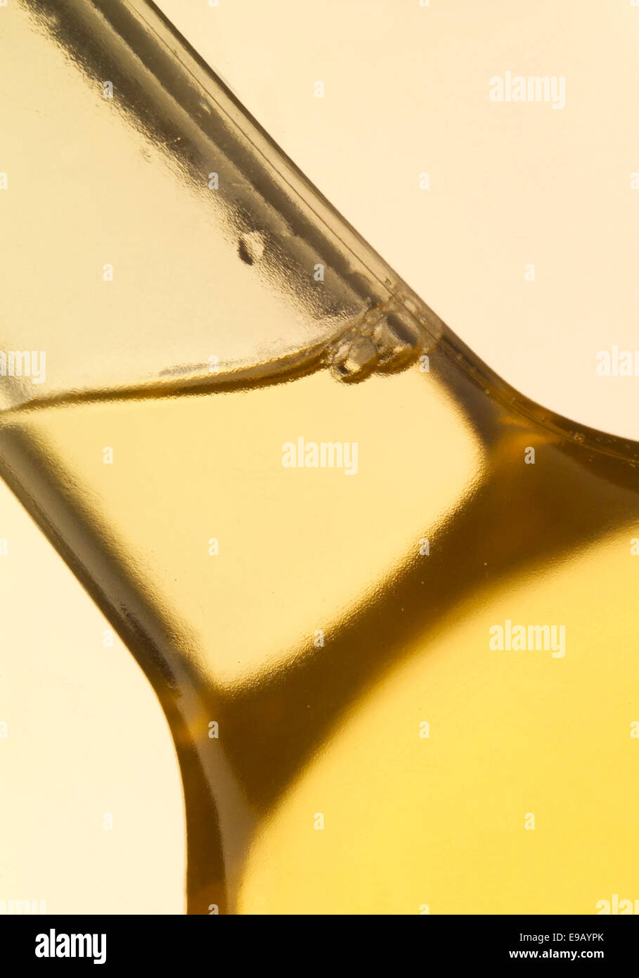 Collo di Bottiglia, bottiglia per vino, dettaglio Foto Stock