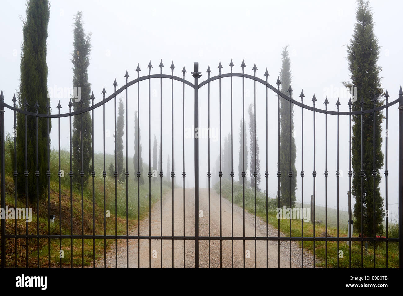 Ferro battuto cancello nella nebbia mattutina, chiusure, Arbia, Toscana, Italia Foto Stock